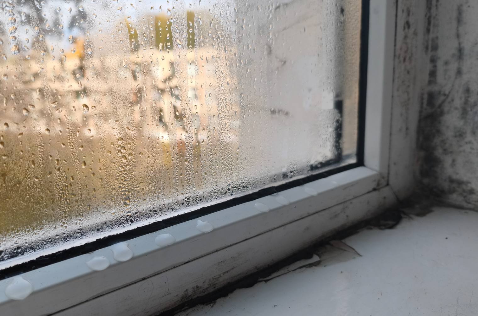 Condensation and black mould around a window in a rented flat